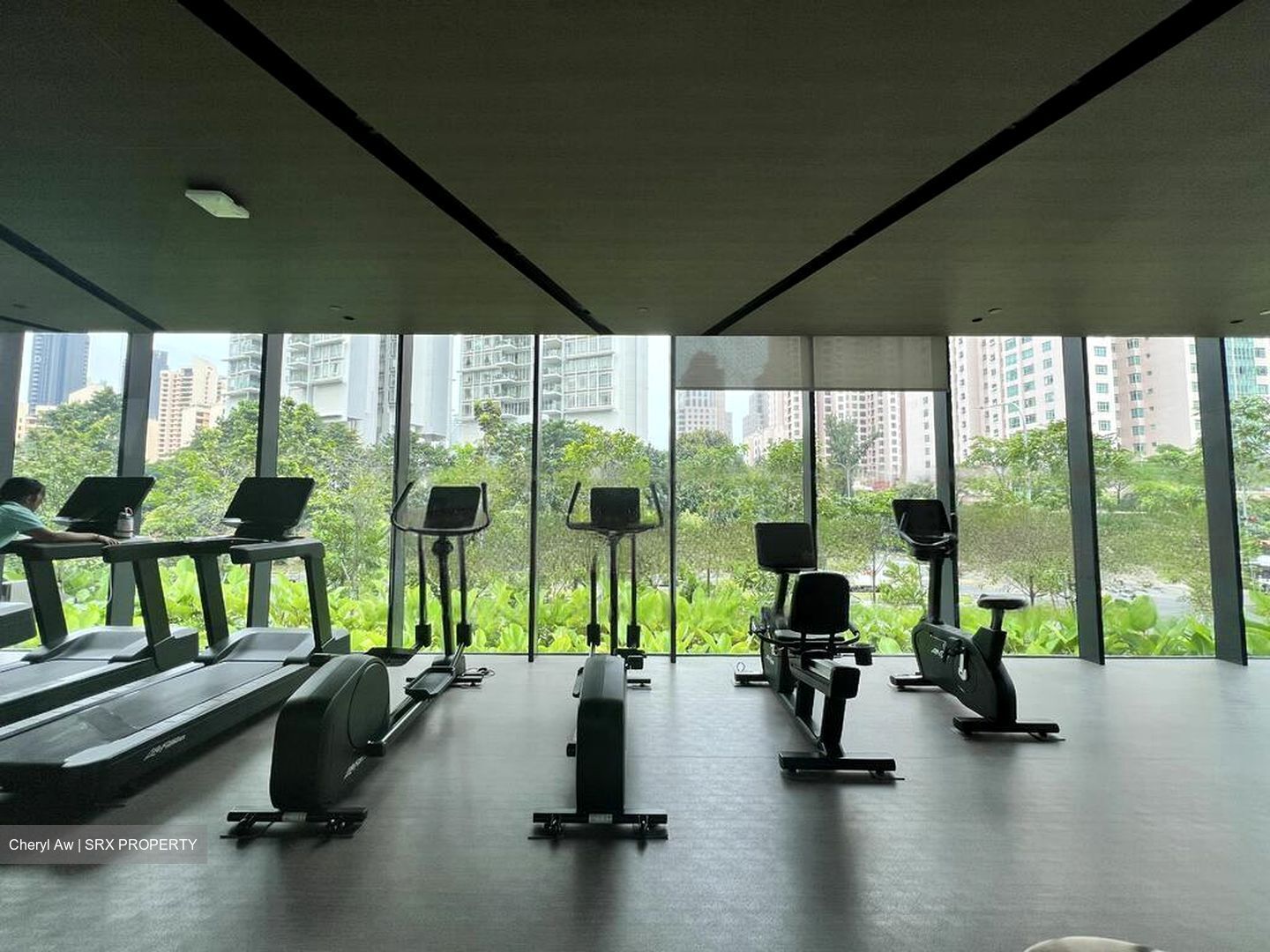 Irwell Hill Residences (D9), Apartment #458602881